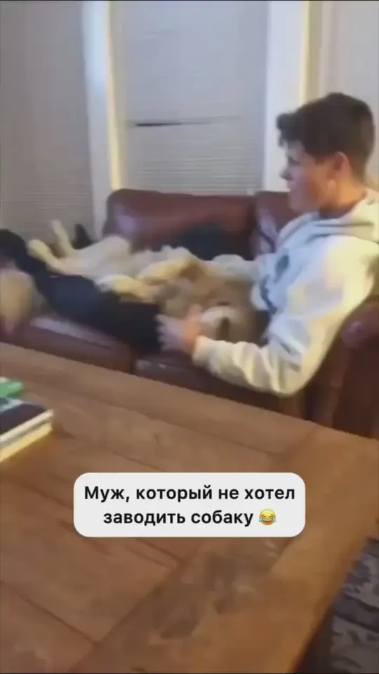 Обложка видео