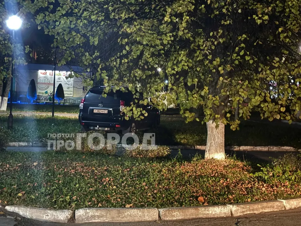 Фото из поста