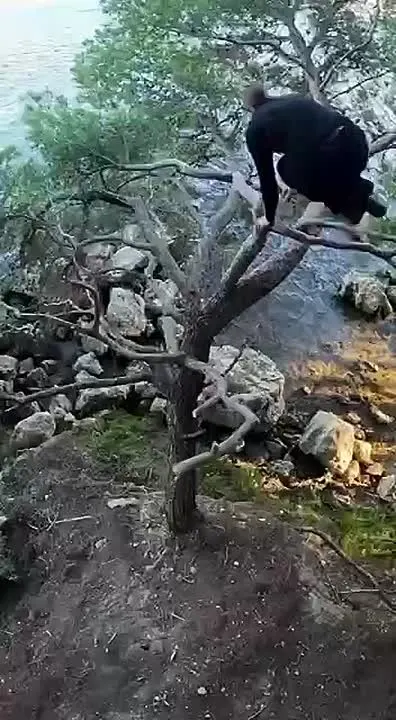 Обложка видео