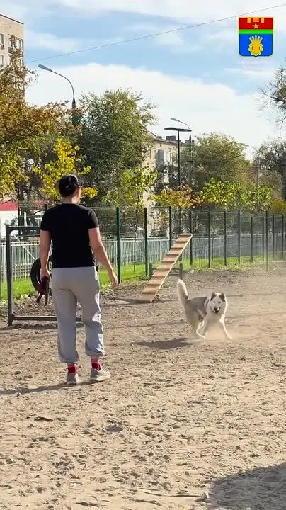 Обложка видео