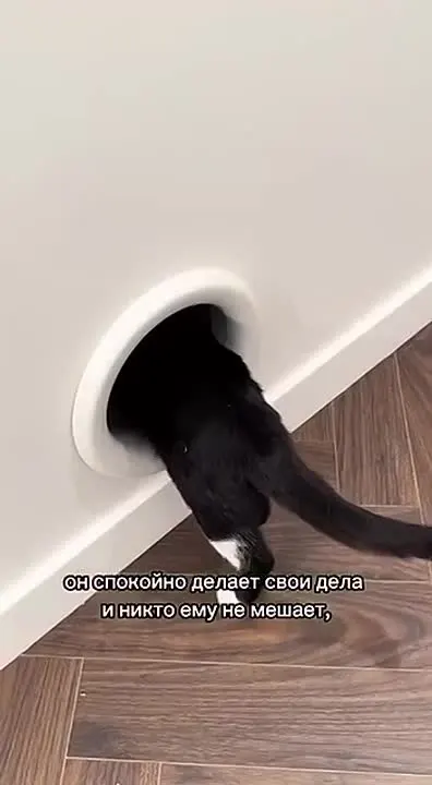 Обложка видео