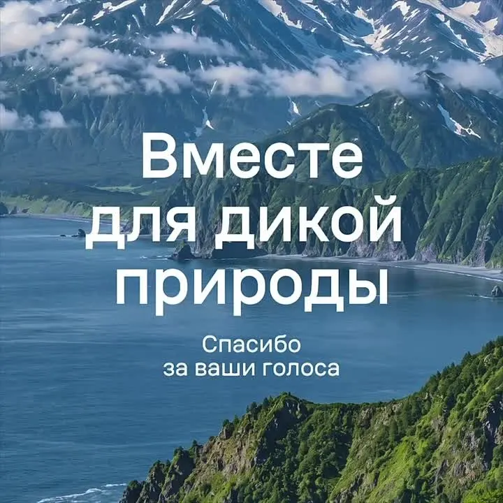 Обложка видео