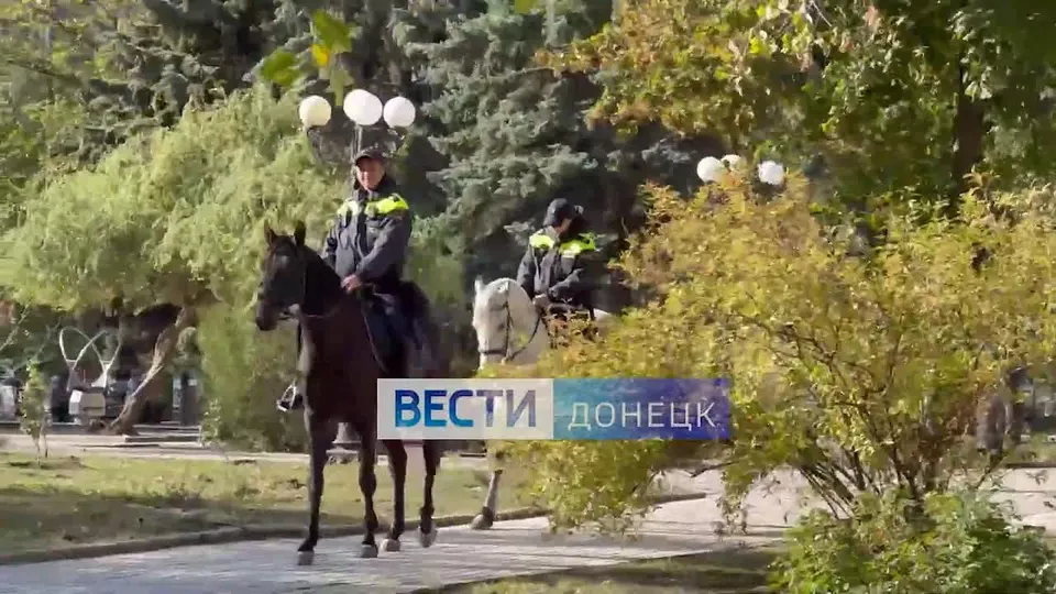 Обложка видео