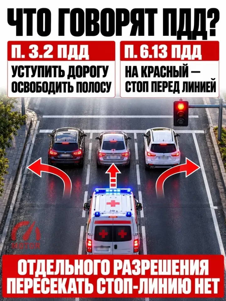 Фото из поста