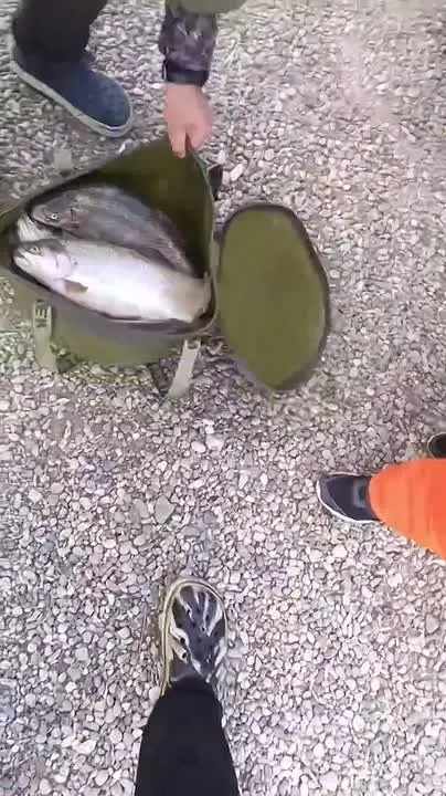 Обложка видео