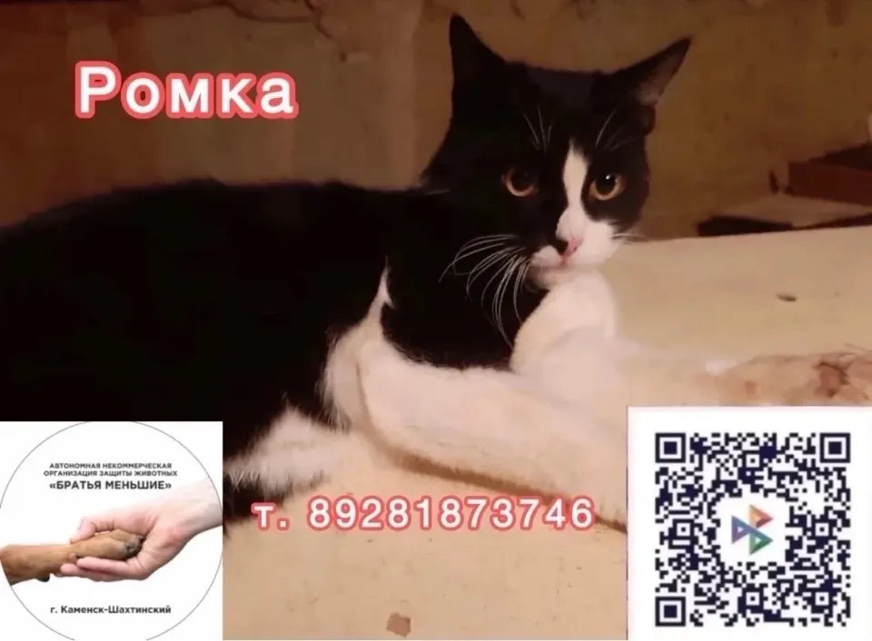 Фото из поста