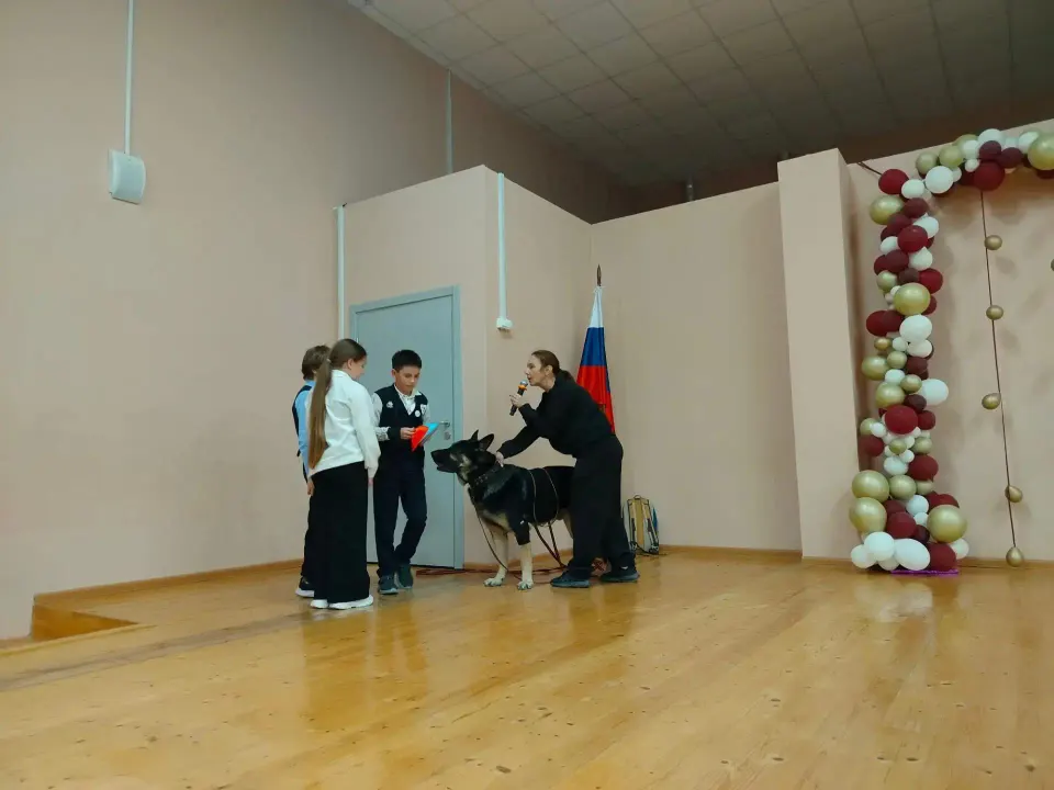 Фото из поста