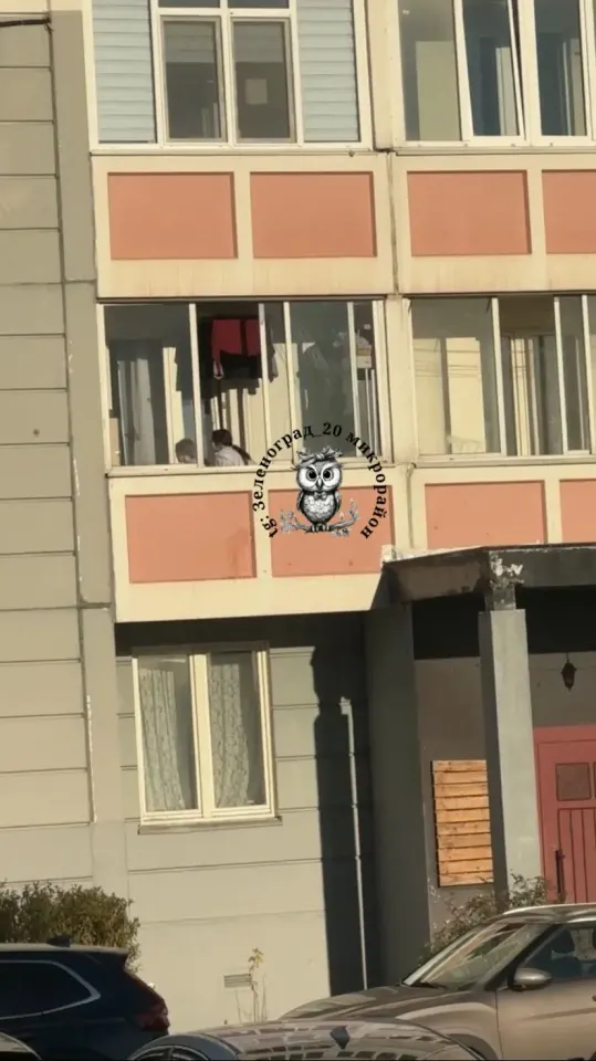 Фото из поста