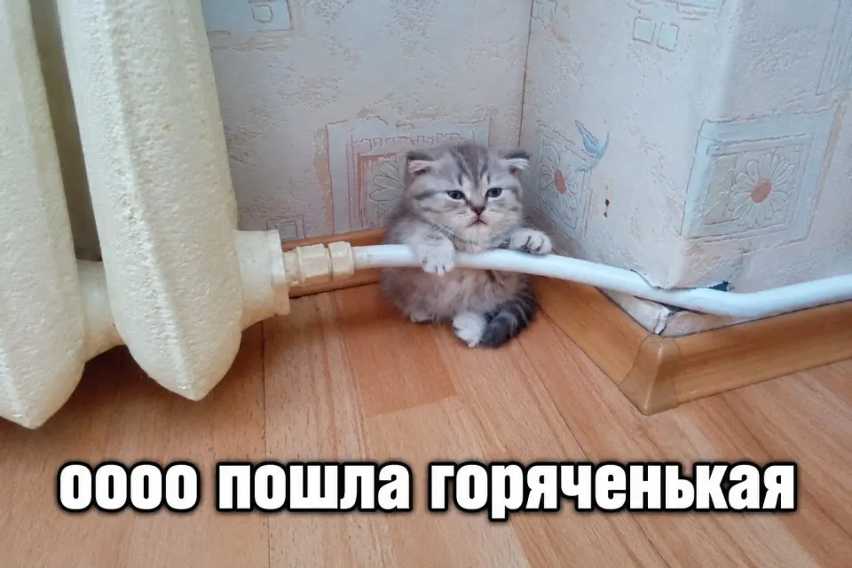 Фото из поста
