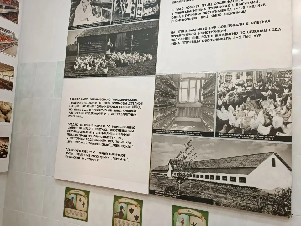 Фото из поста