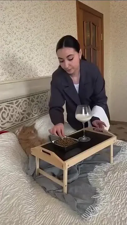 Обложка видео