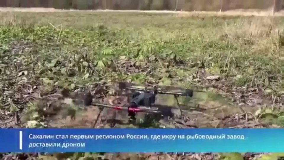 Обложка видео
