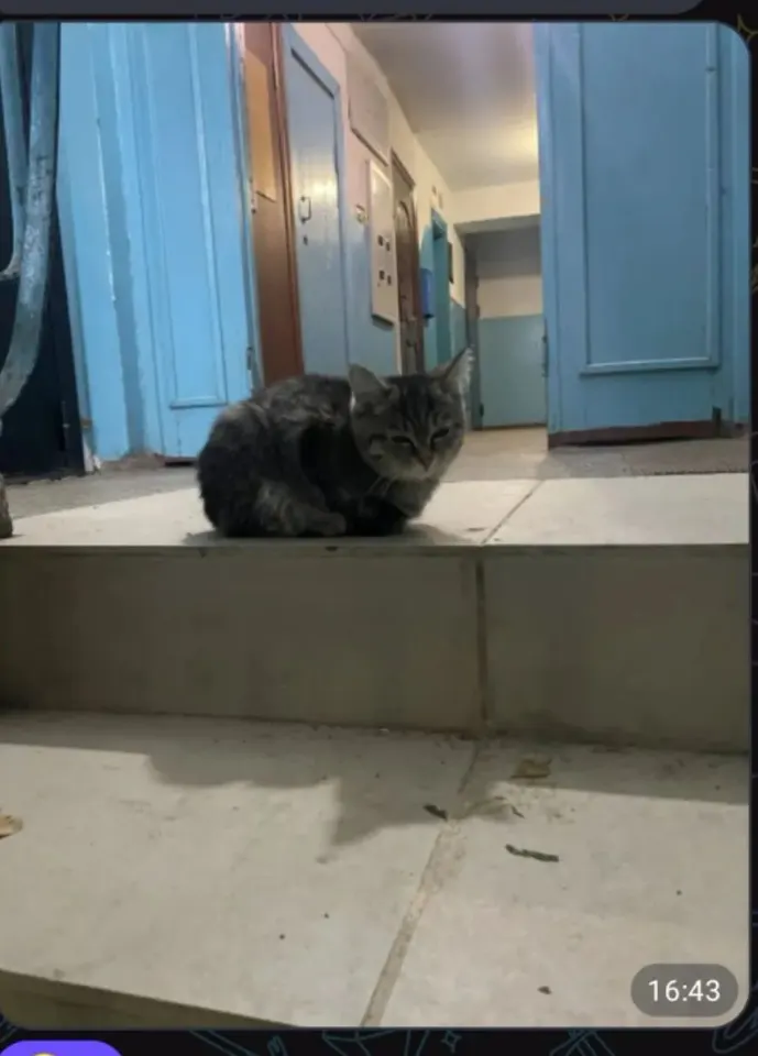 Фото из поста