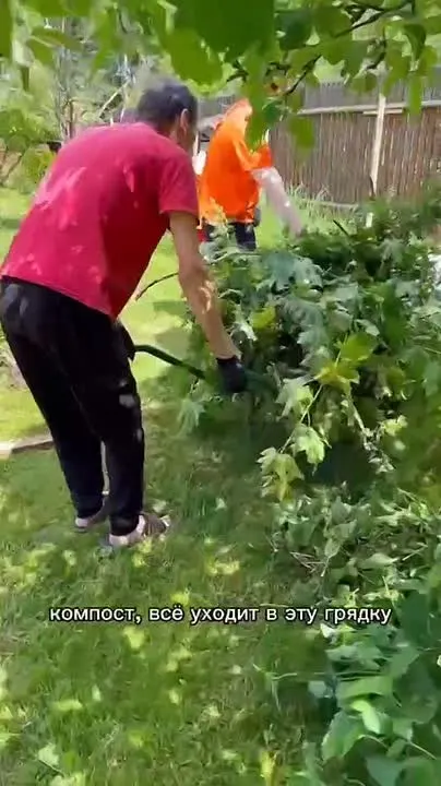 Обложка видео