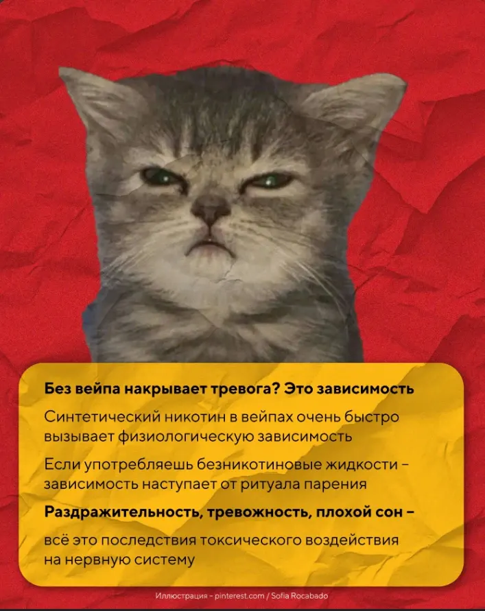 Фото из поста