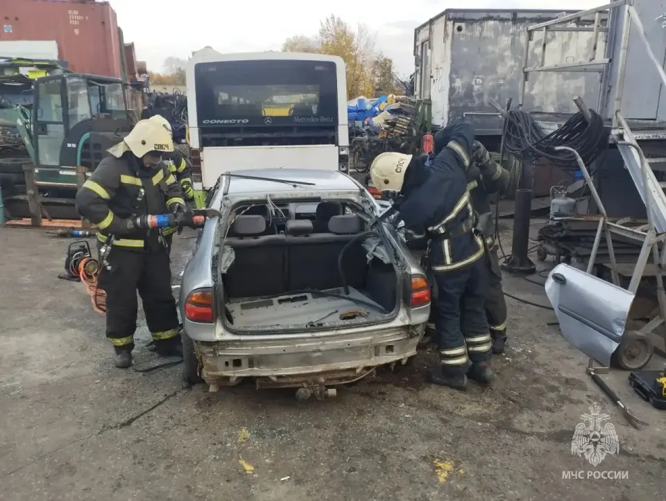 Фото из поста