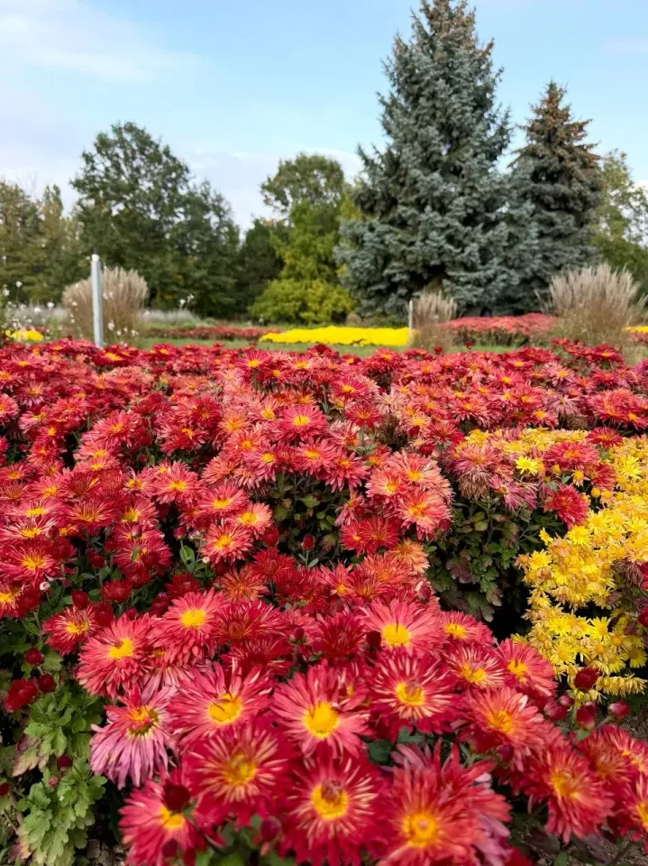 Фото из поста