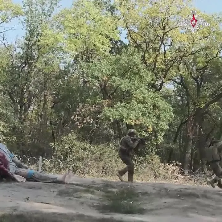 Обложка видео