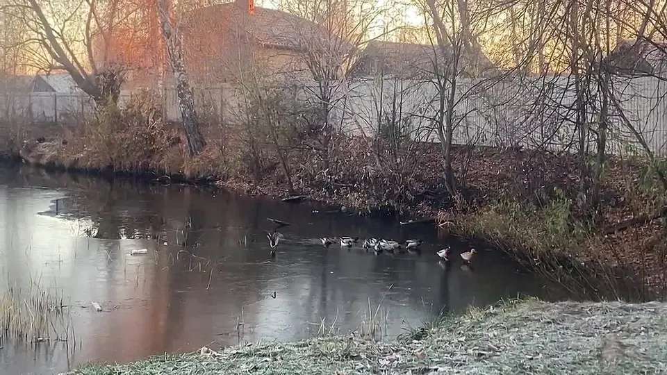 Обложка видео