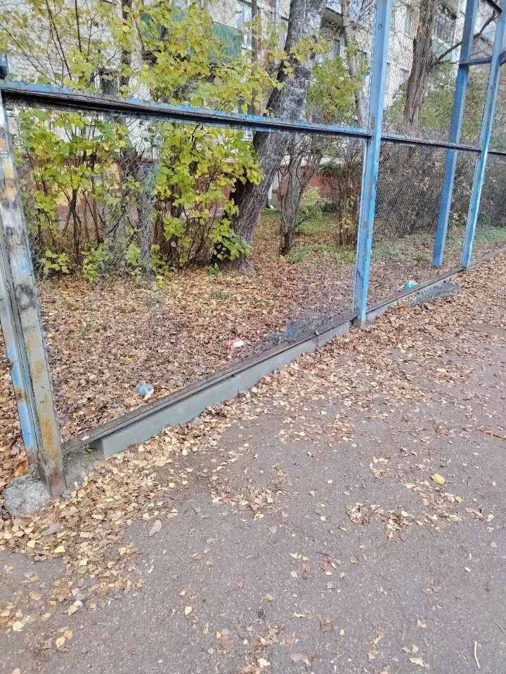 Фото из поста