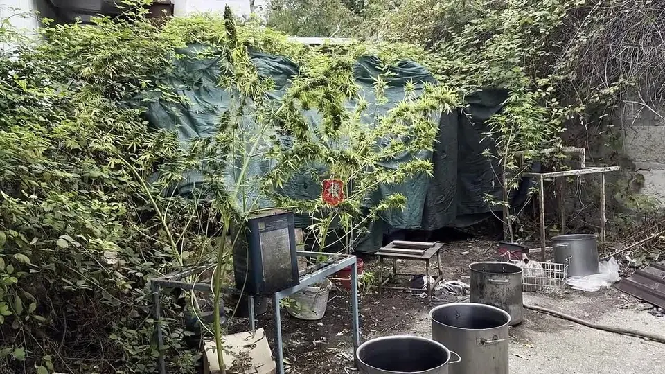 Обложка видео