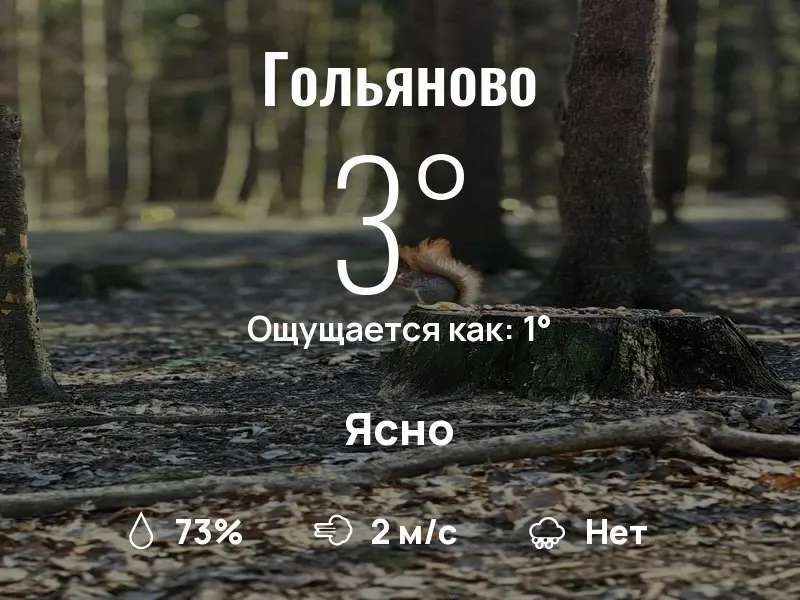Фото из поста
