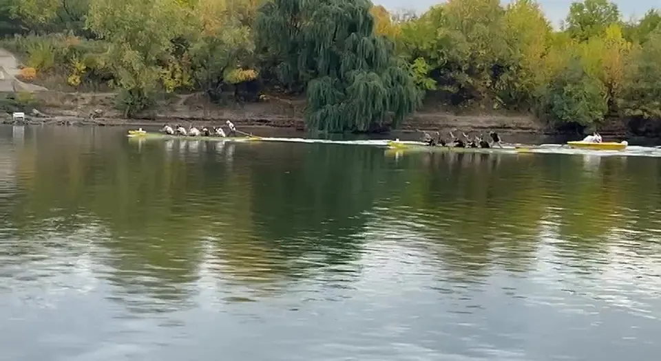 Обложка видео