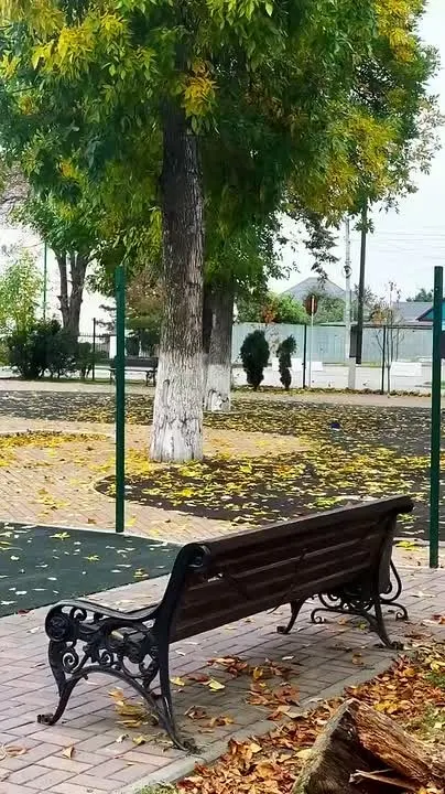 Обложка видео