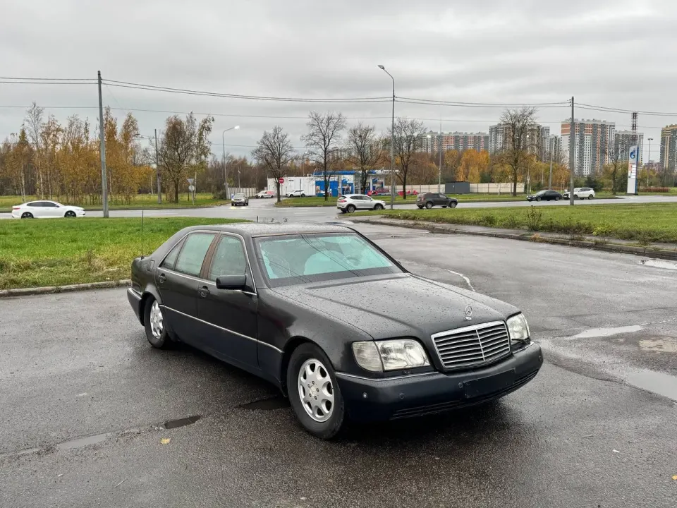 Фото из поста