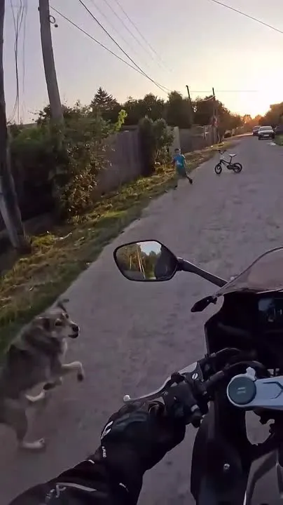 Обложка видео