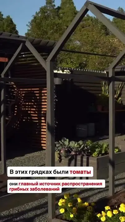 Обложка видео