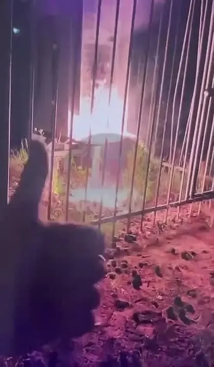 Обложка видео