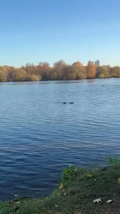 Обложка видео