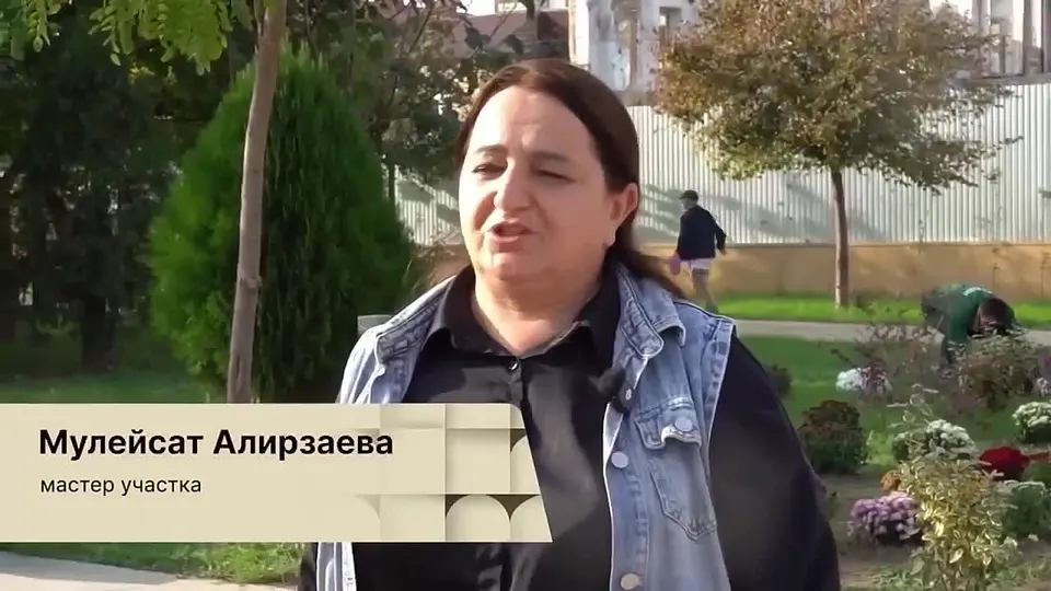 Обложка видео