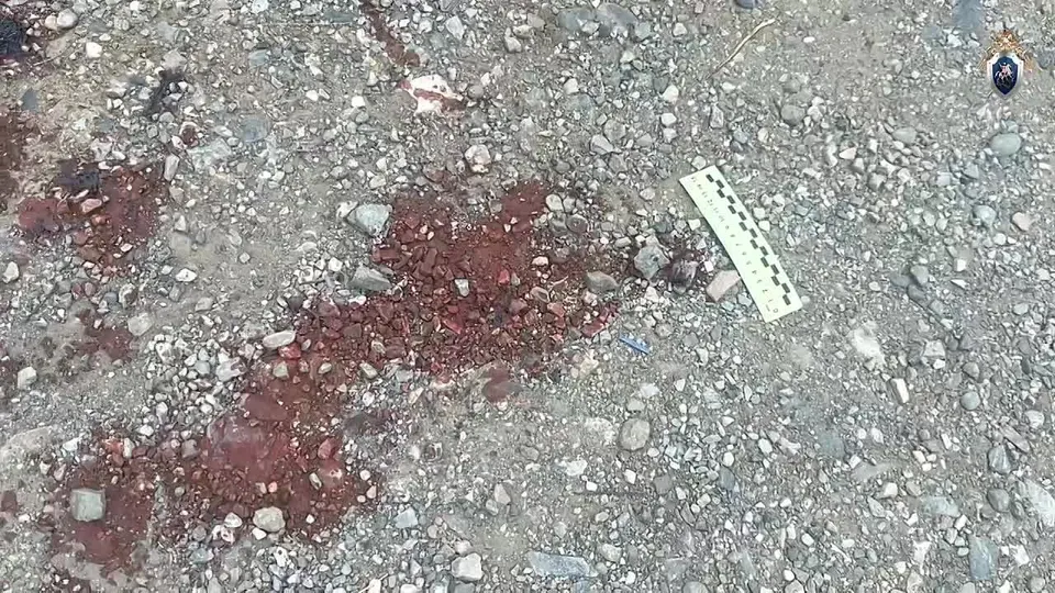 Обложка видео