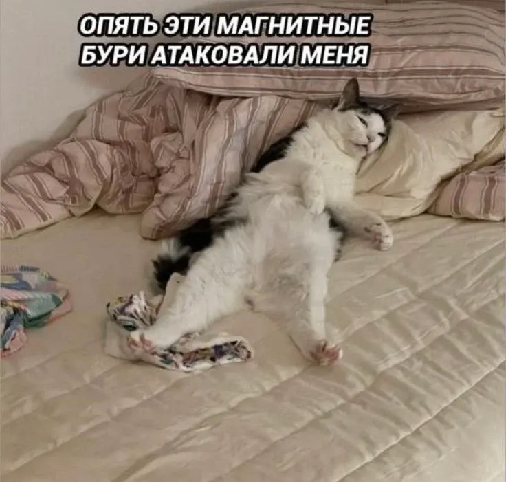 Фото из поста