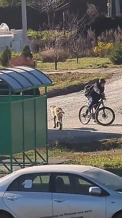 Обложка видео