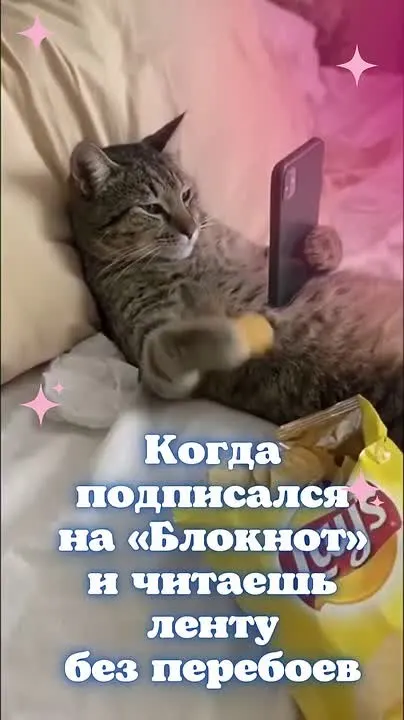 Обложка видео