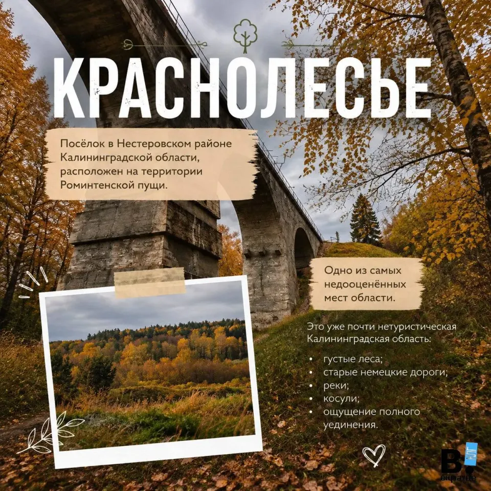 Фото из поста