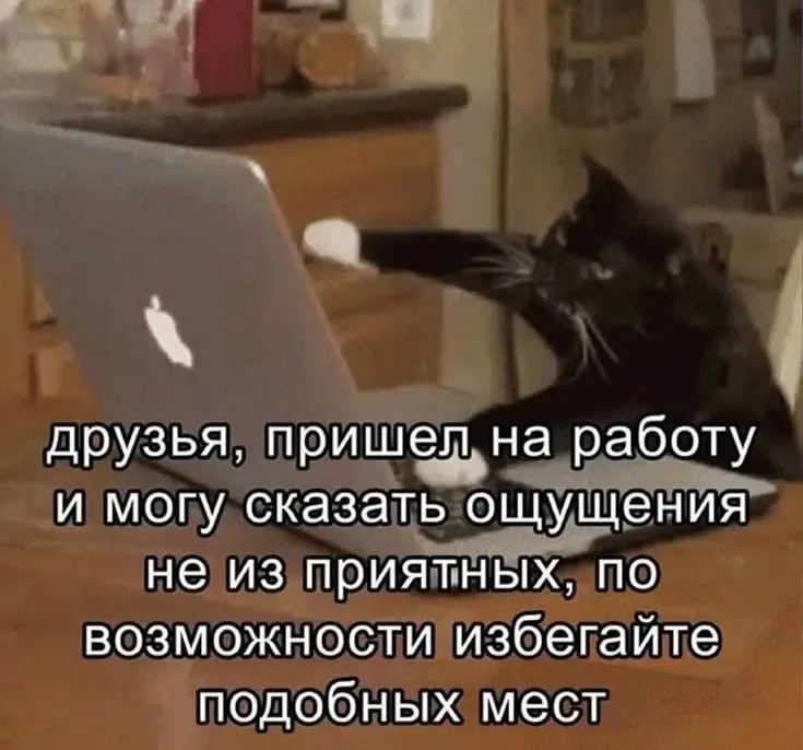 Фото из поста