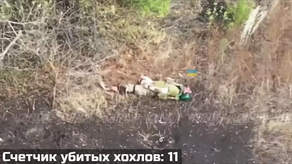 Обложка видео