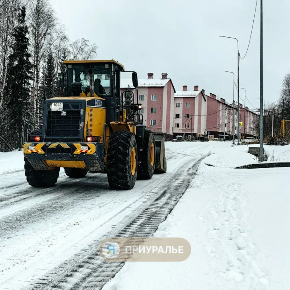Фото из поста