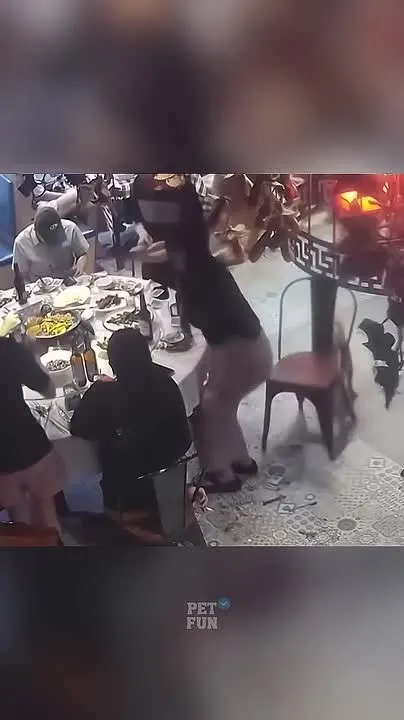 Обложка видео