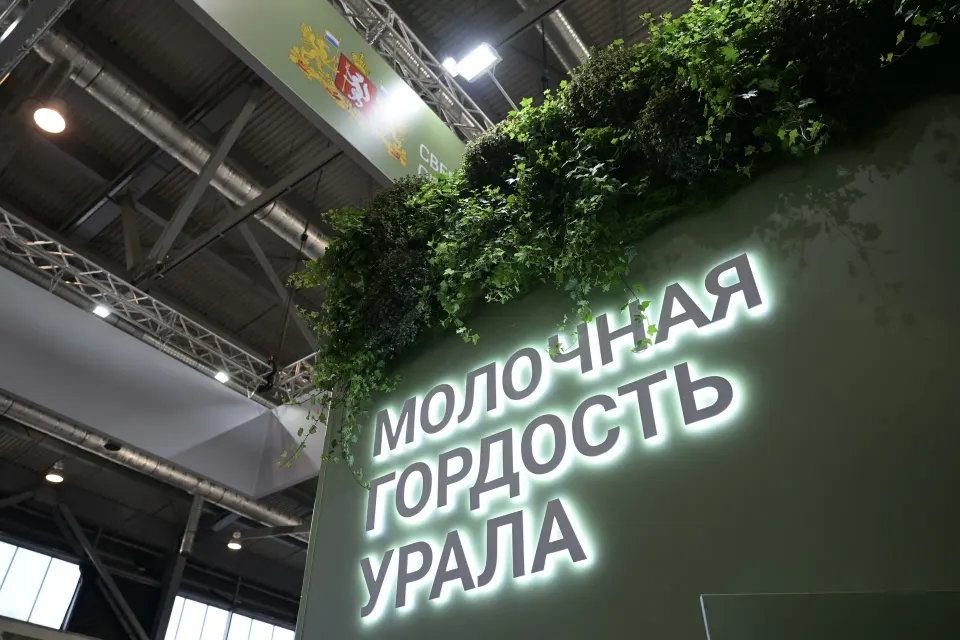 Фото из поста