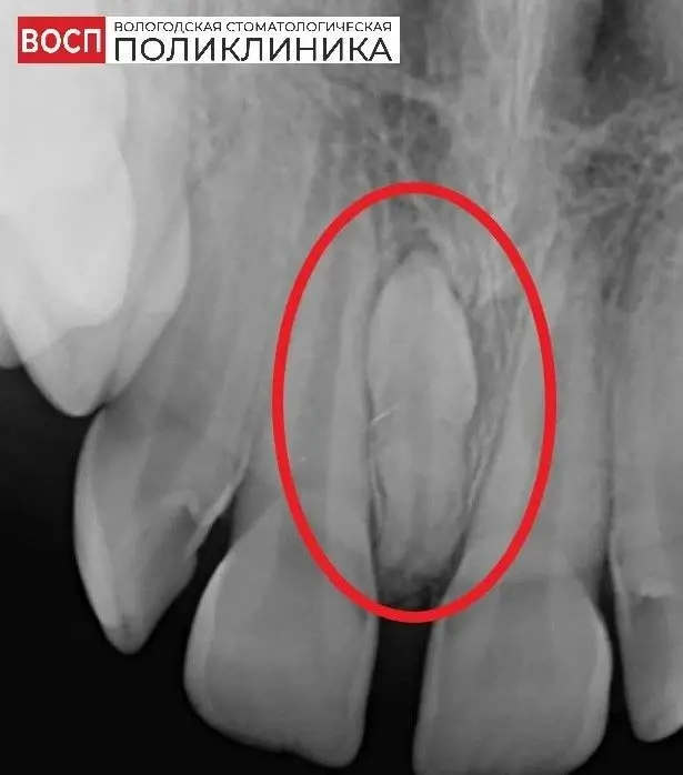 Фото из поста