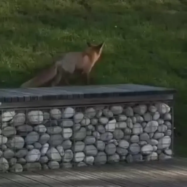 Обложка видео