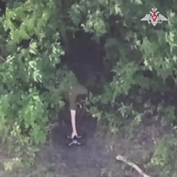 Обложка видео