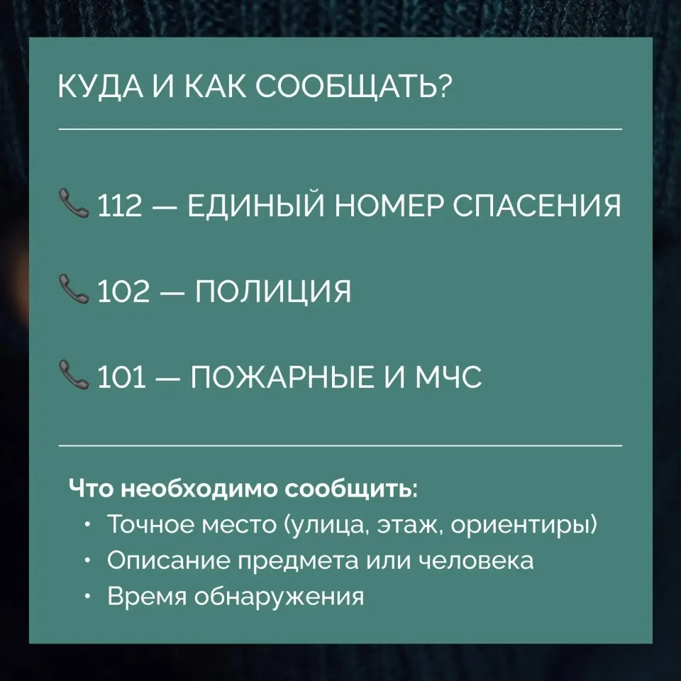 Фото из поста