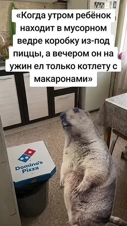 Обложка видео