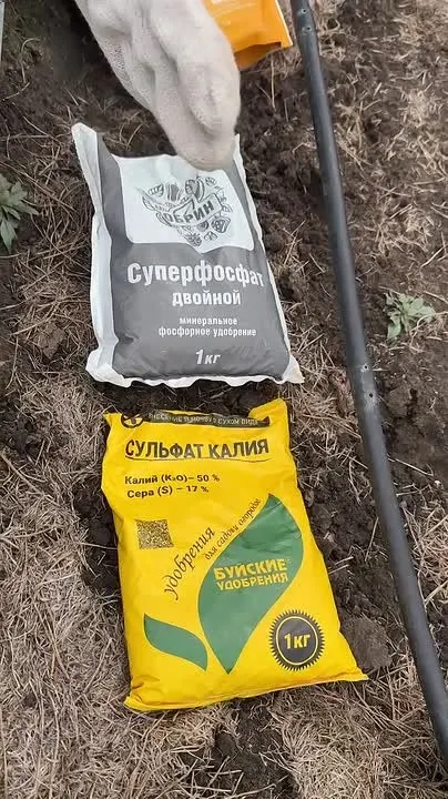 Обложка видео